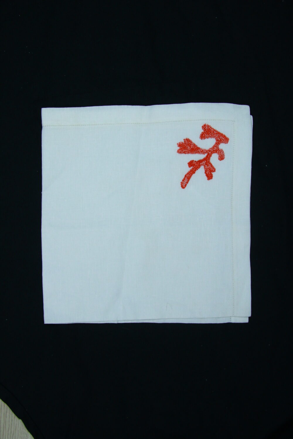 Red Coral Hand Embroidered Napkins