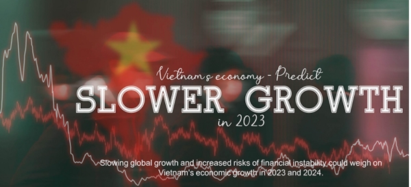 Vietnam economy is growing slower in 2023 - 2024