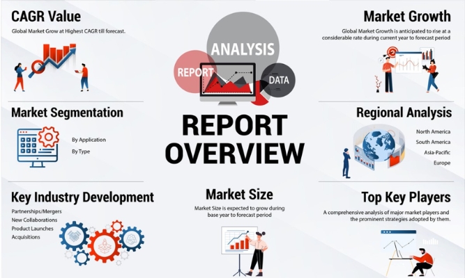 Report overview